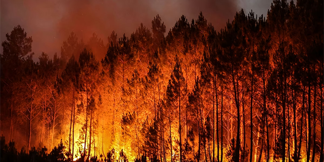 Europe's Catastrophic Summer: Outbreak of Hundreds of Wildfires and Heavy Losses