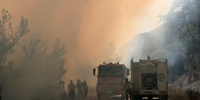 Civil Defense Teams and Locals Stop the Spread of Forest Fires in Latakia and Hama Amid Difficult Conditions
