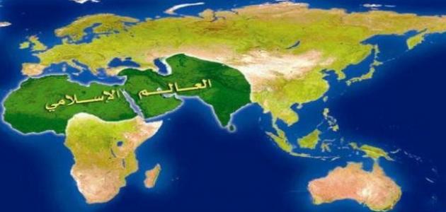 Economic Potential of the Islamic World and Challenges of Political Employment