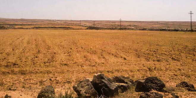 برنامج غذای جهانی 7.9 میلیون دلار جبران خسارت خشکسالی در سوریه دریافت کرد